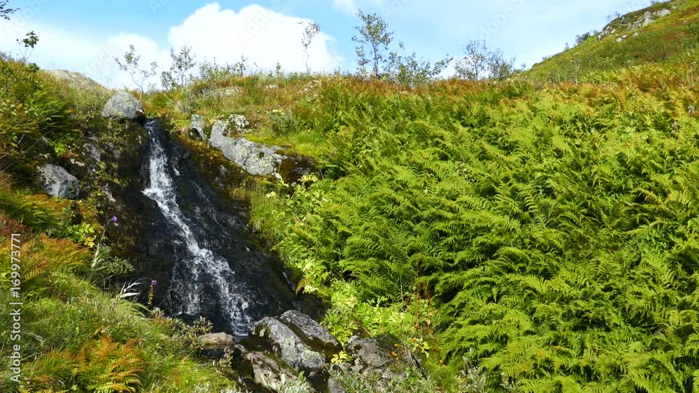 Small stream in Moysalen National Park Norway Small stream in Moysalen National Park Norway
