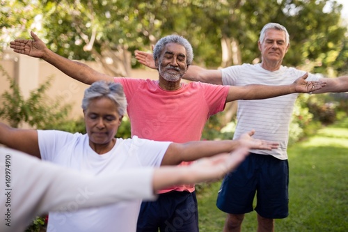 Senior friends exercising at park © WavebreakMediaMicro