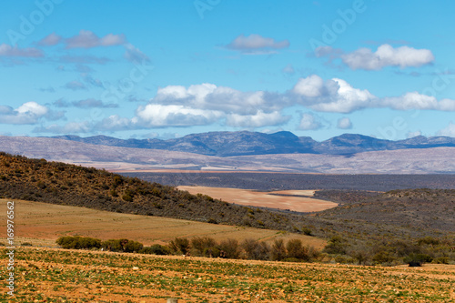 Beautiful Landscape of ground, bushes, and mountains