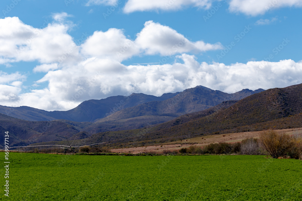 Green grass in the field with mountains Green grass in the field with mountains