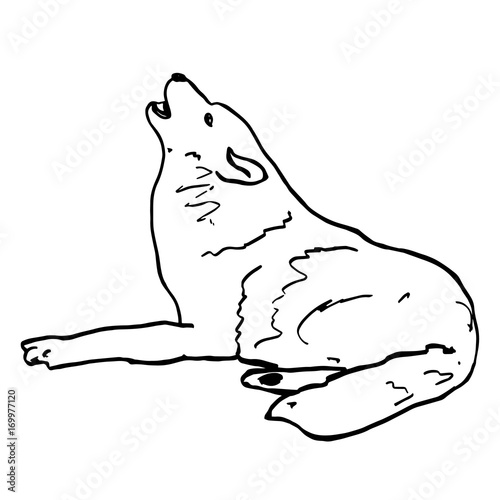Howling wolf. Black animal contour isolated on white background. Wild wolf character, forest animals, predator. Hand drawn mammal illustration for logo, clip art, tattoo, prints, design, posters.