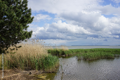 The estuary at the Curonian spit in the Kaliningrad region in the spring on a Sunny day