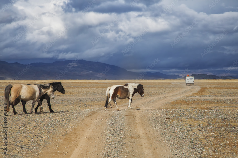 Horses along the road near Ulgii, Mongolia with a Russian Furgon Van Horses along the road near Ulgii, Mongolia with a Russian Furgon Van