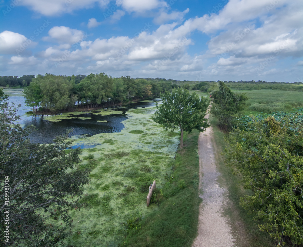 Fototapeta premium Swamp Arial