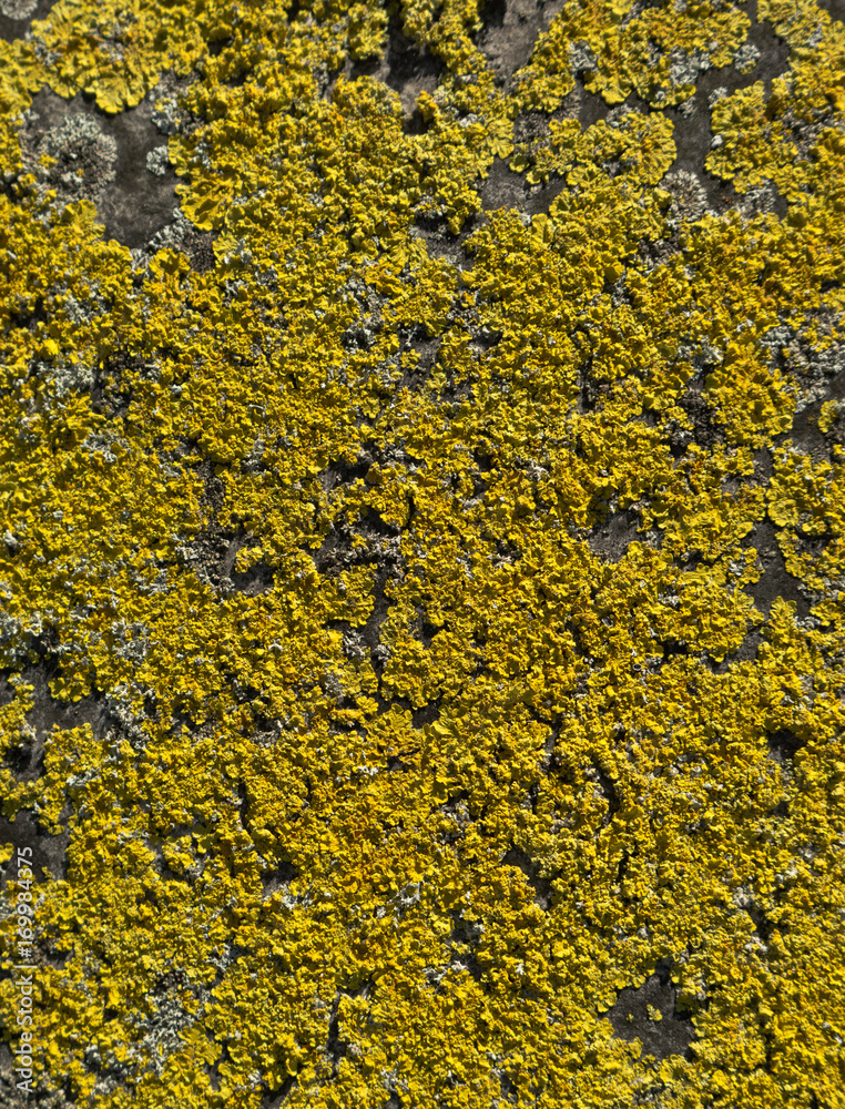 hintergrund struktur hintergrund struktur