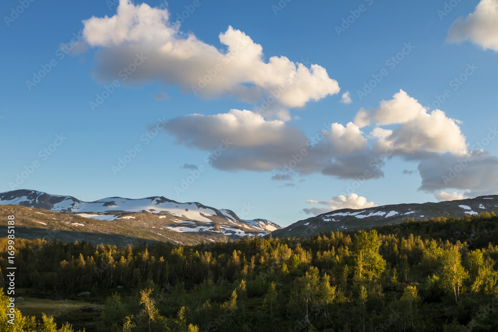 Fototapeta premium Norwegisches Gebirge 