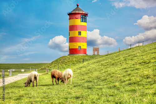 Sheep in front of the Pilsum lighthouse on the North Sea coast of Germany. photo