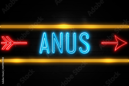 Anus  - fluorescent Neon Sign on brickwall Front view