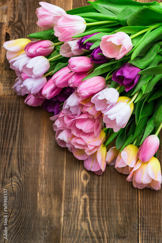 Close up of Bunch of Colorful Tulips on Wooden Background © manuta