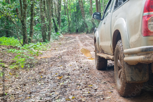 car wheels on a gravel road in tropical jungle