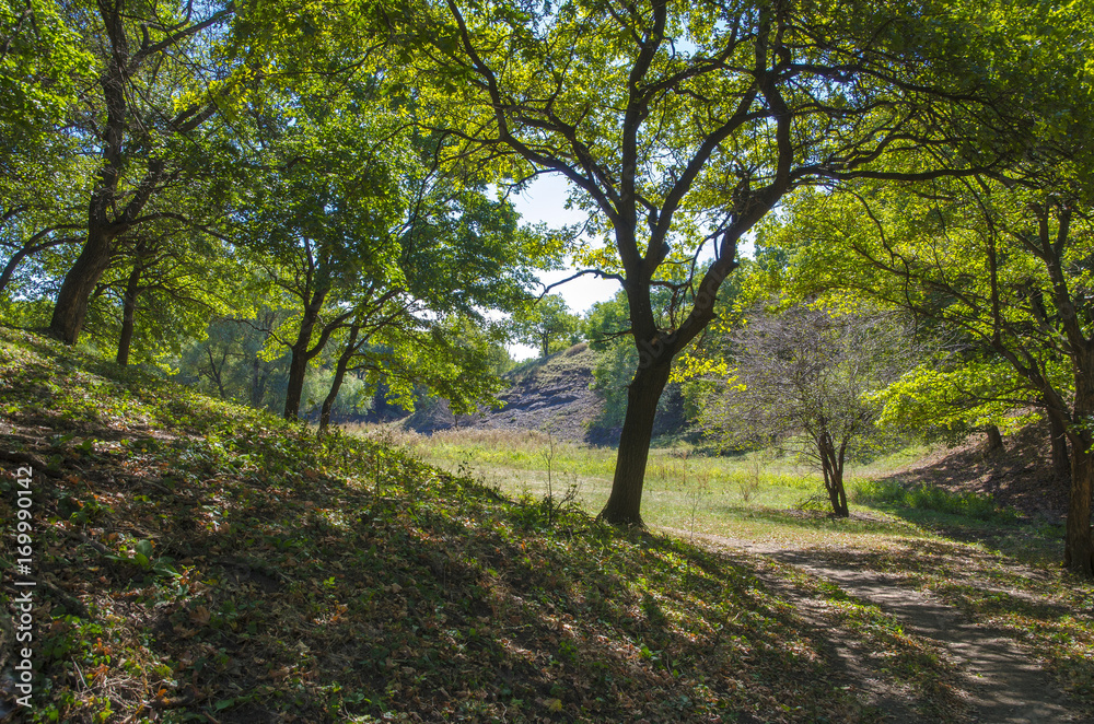 Autumn deciduous forest, consisting of oaks and maples, grows on mountain terrain. Autumn deciduous forest, consisting of oaks and maples, grows on mountain terrain.