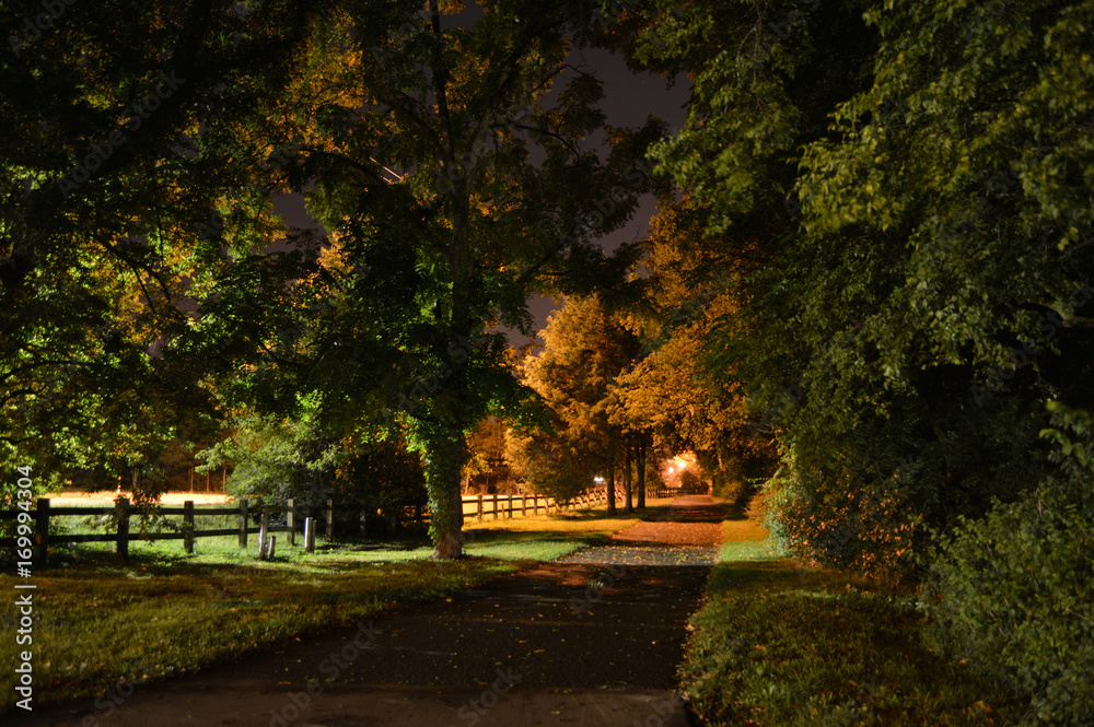 Obraz premium park