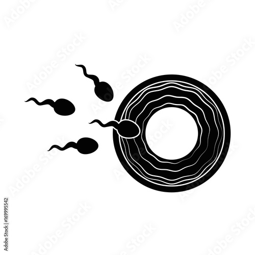 Fertilization of the ovum vector illustration design
