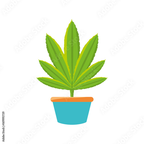 colorful plant over white  bacground vector ilustration
