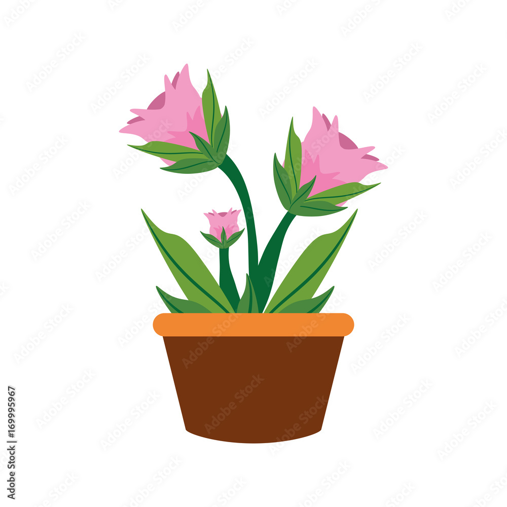 colorful flower plant over  white background vector  illustration