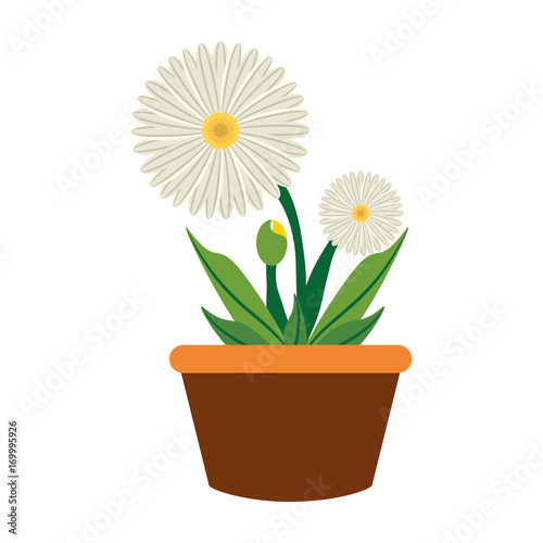 colorful flower plant over  white background vector illustration © djvstock