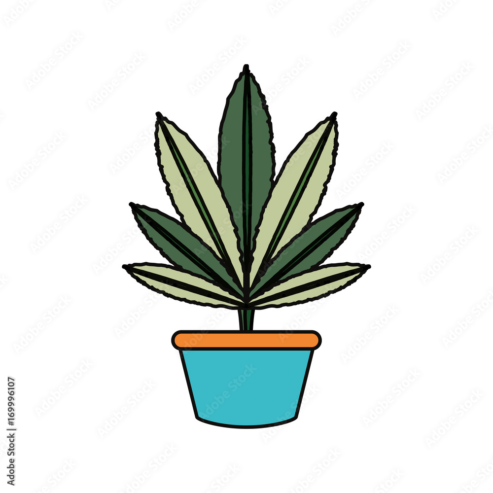 plant in a pot icon over white background vector illustration plant in a pot icon over white background vector illustration