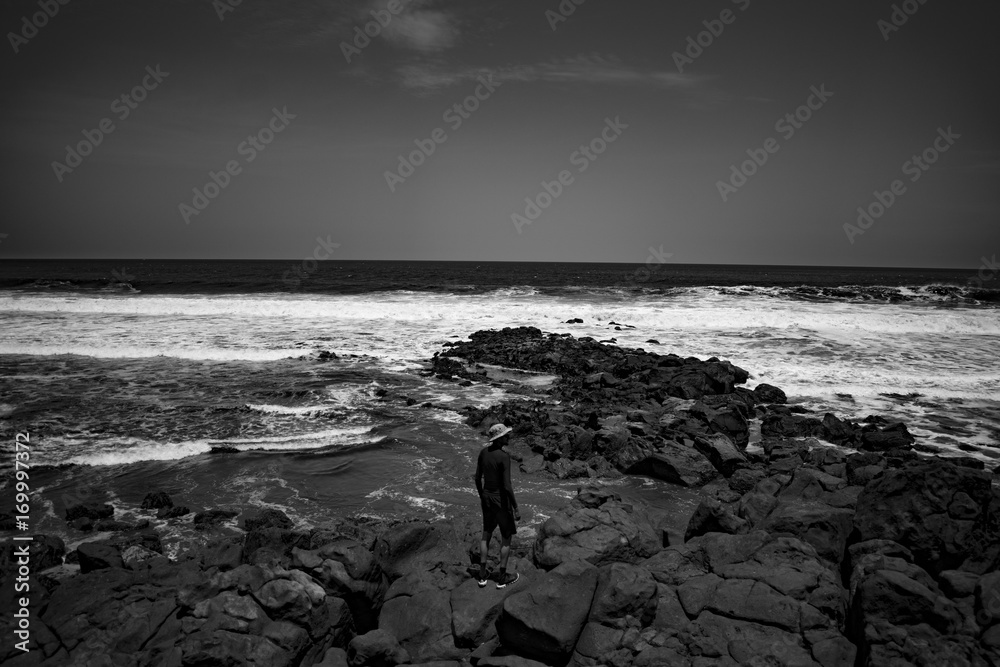 Fototapeta premium A Pacific Ocean View