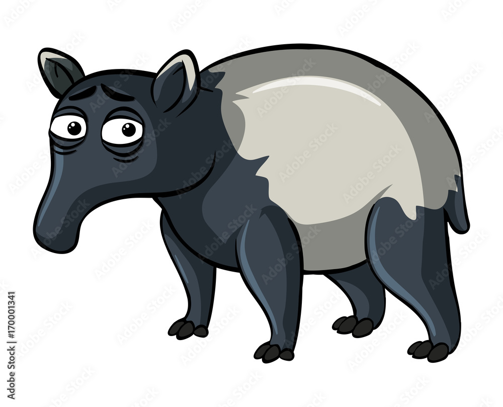 Tapir on white background Tapir on white background
