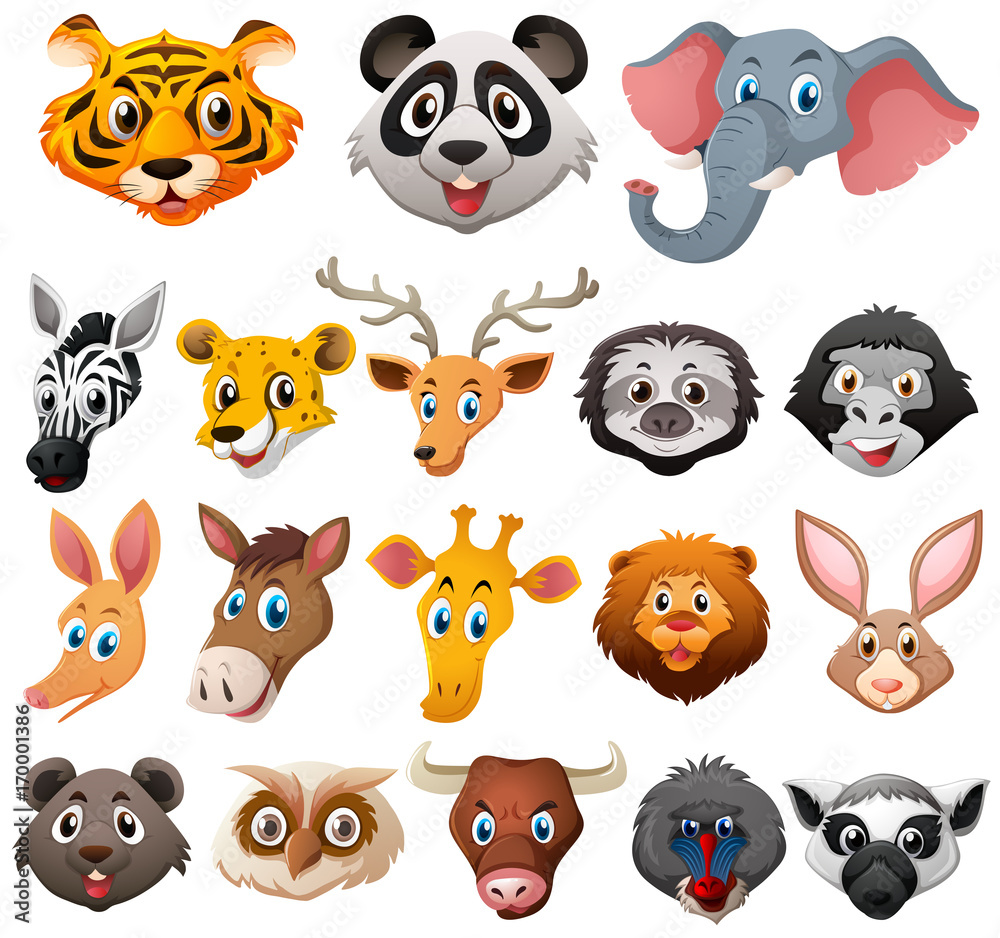Different faces of wild animals Different faces of wild animals