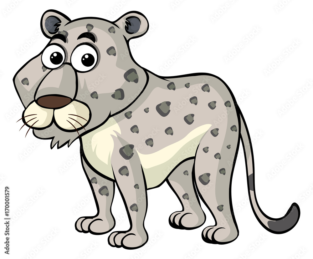 Fototapeta premium White cheetah on white background