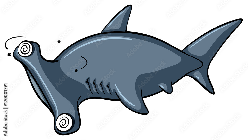 Hammerhead shark with dizzy face Hammerhead shark with dizzy face