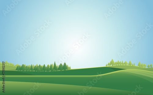 Summer meadow landscape  background. Vector illustration.