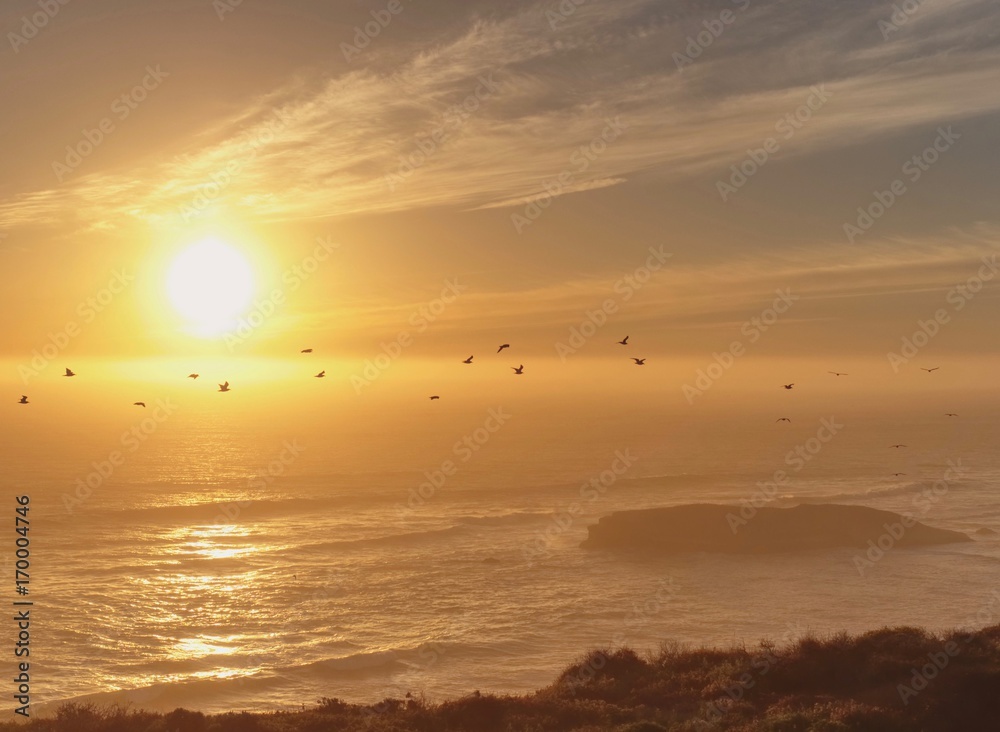 Birds Flying in Front of Beautiful Sunset Birds Flying in Front of Beautiful Sunset