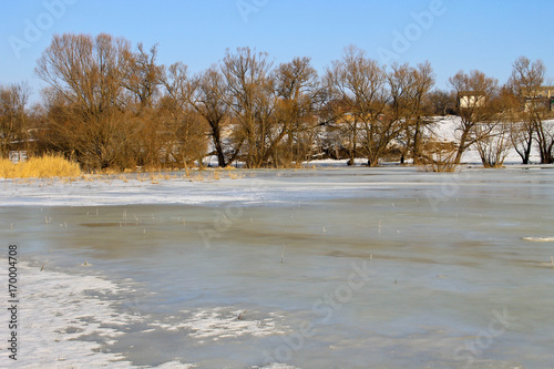 Wallpaper Mural Winter meadow with frozen water and trees Torontodigital.ca