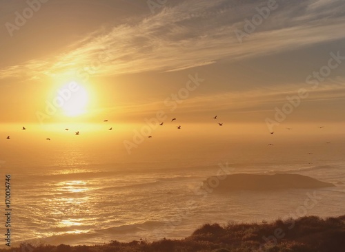 Birds Flying in Front of Beautiful Sunset