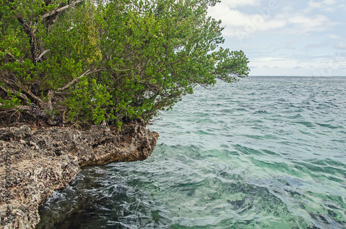Rockie shore on the beach of Mauritius photo