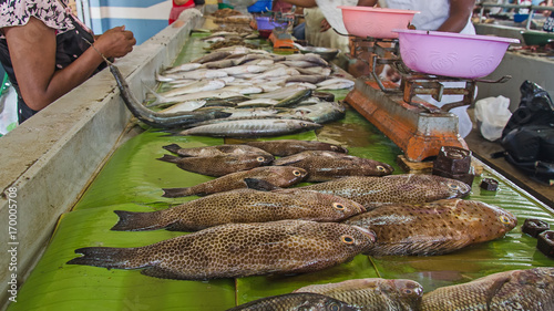 Fresh sea food in the market, Madagascar