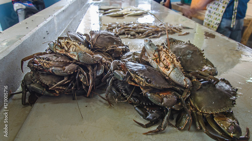Fresh sea food in the market, Madagascar