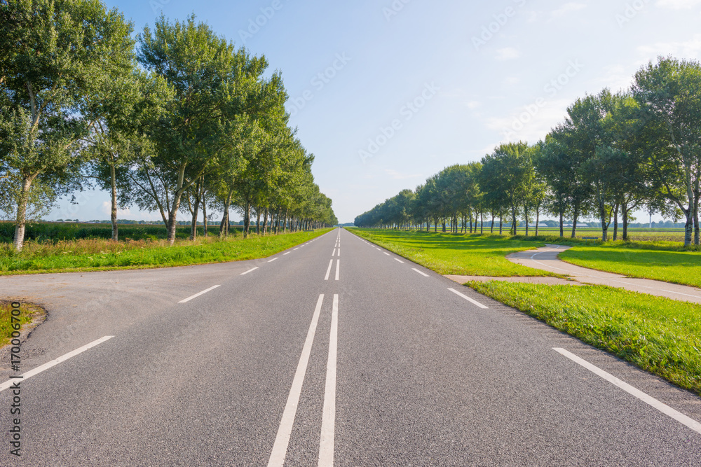 Road through the countryside in sunlight in summer Road through the countryside in sunlight in summer