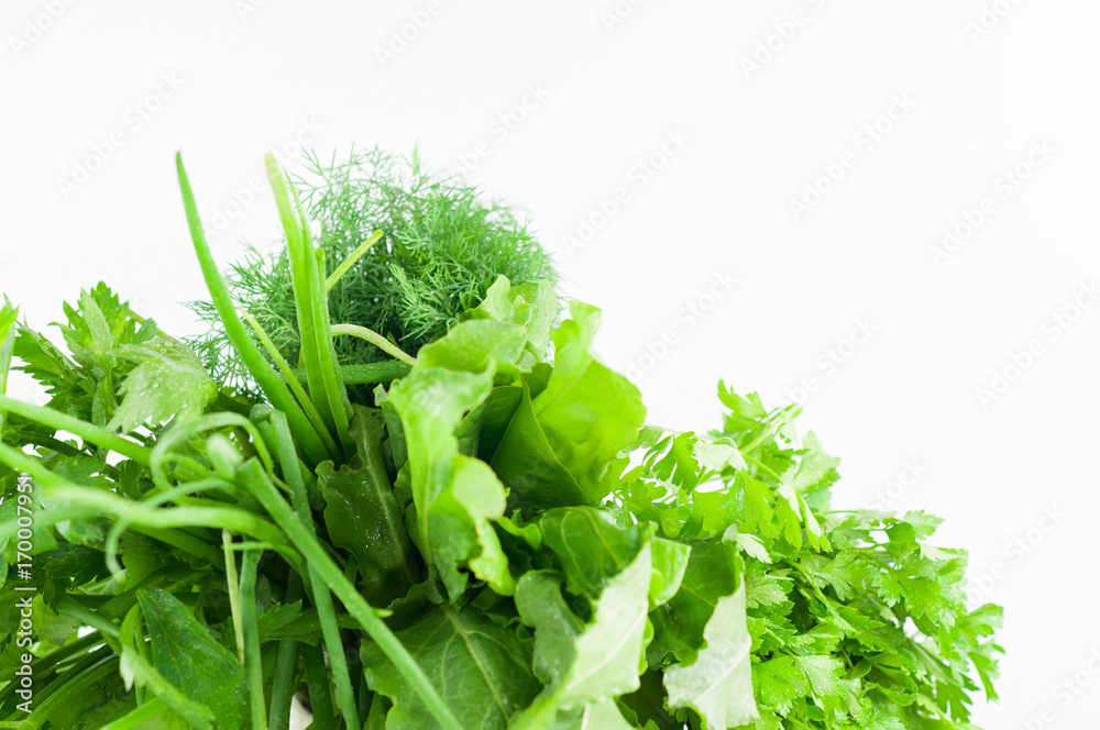 Bundle of green fresh raw dill, parsley, onion, celery and sorrel on white background Bundle of green fresh raw dill, parsley, onion, celery and sorrel on white background