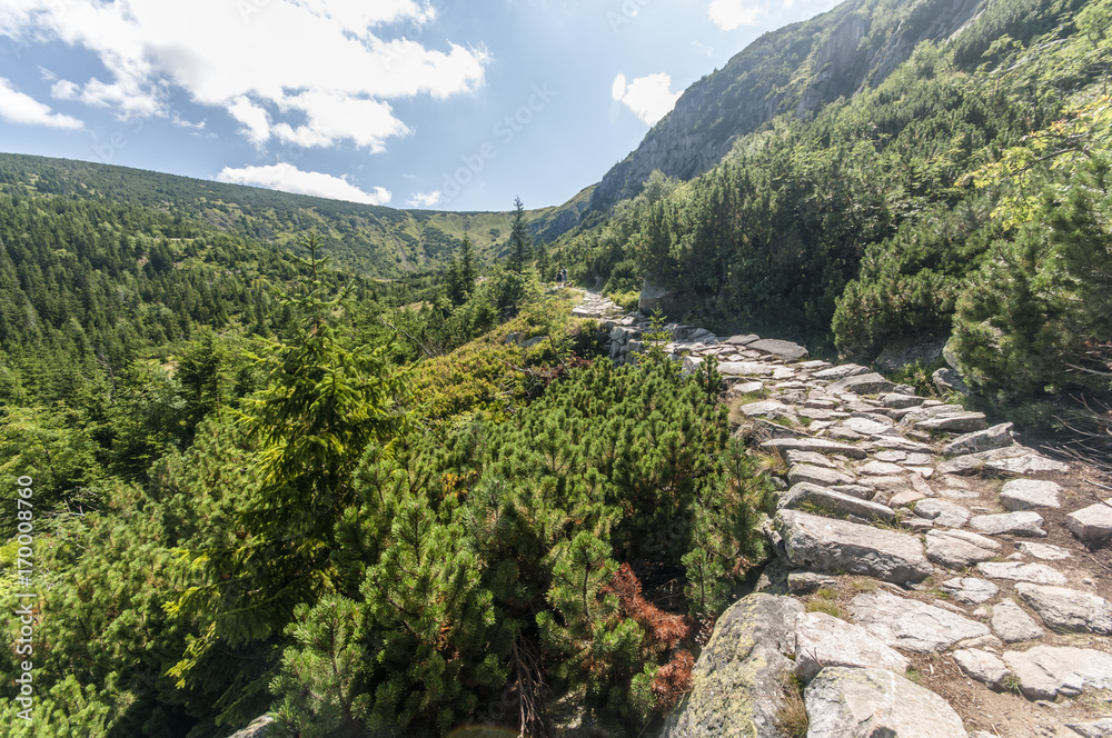 Obraz premium Stone path in the mountains which is road for tourists and hikers