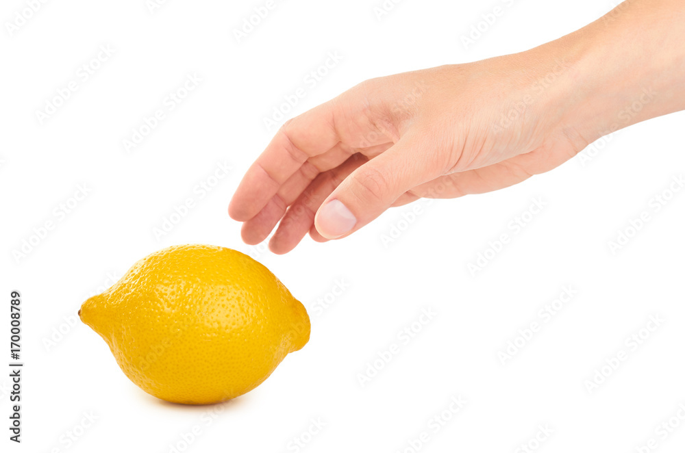 female hand holding lemon. Isolated on white background female hand holding lemon. Isolated on white background
