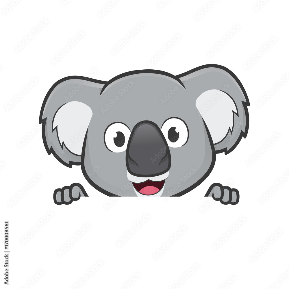 Obraz premium Koala trzymając i patrząc na pustą tablicę znak