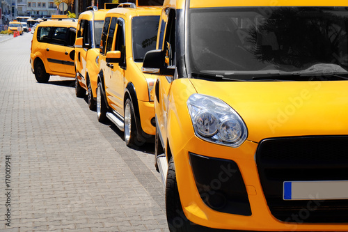 Taxi cars standing in parking zone on sunny day