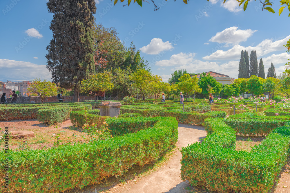 Fototapeta premium View on Park in the Hill of Palatine- Roman Forum. Rome. Italy.