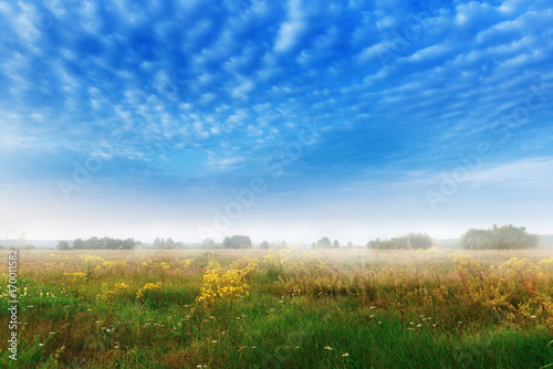 Landscape with foggy meadow in morning time