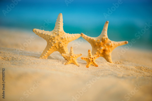 Fototapeta Naklejka Na Ścianę i Meble -  A family of sea stars rests on the sea