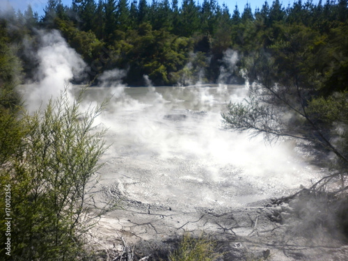  Geothermal Mud Pool Rotorua, New Zealand