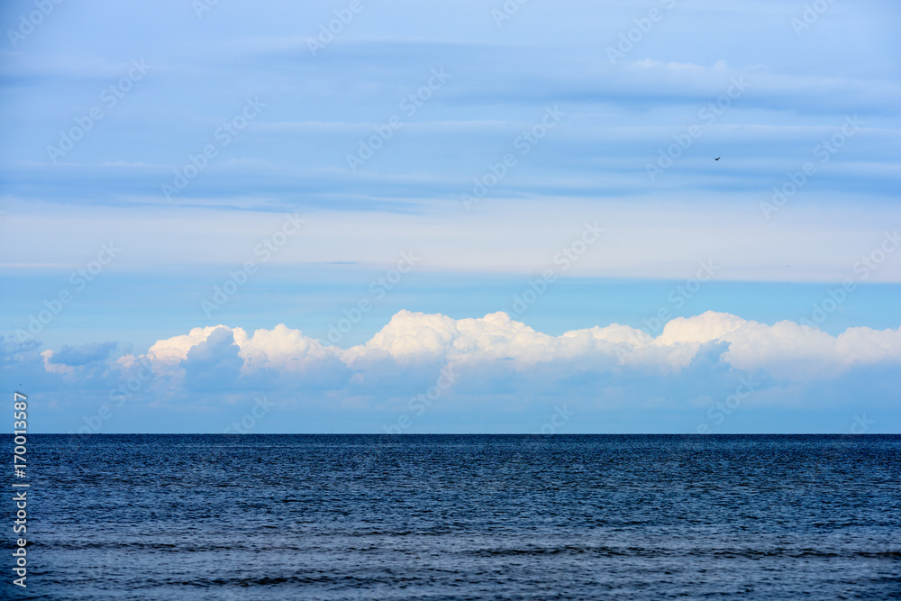 seagulls on the beach with blue clouds in background seagulls on the beach with blue clouds in background
