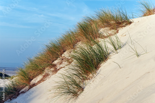 Sand dunes in Picardy coast
