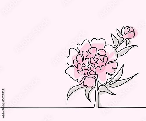 Beautiful flowers. Continuous line drawing. Vector illustration