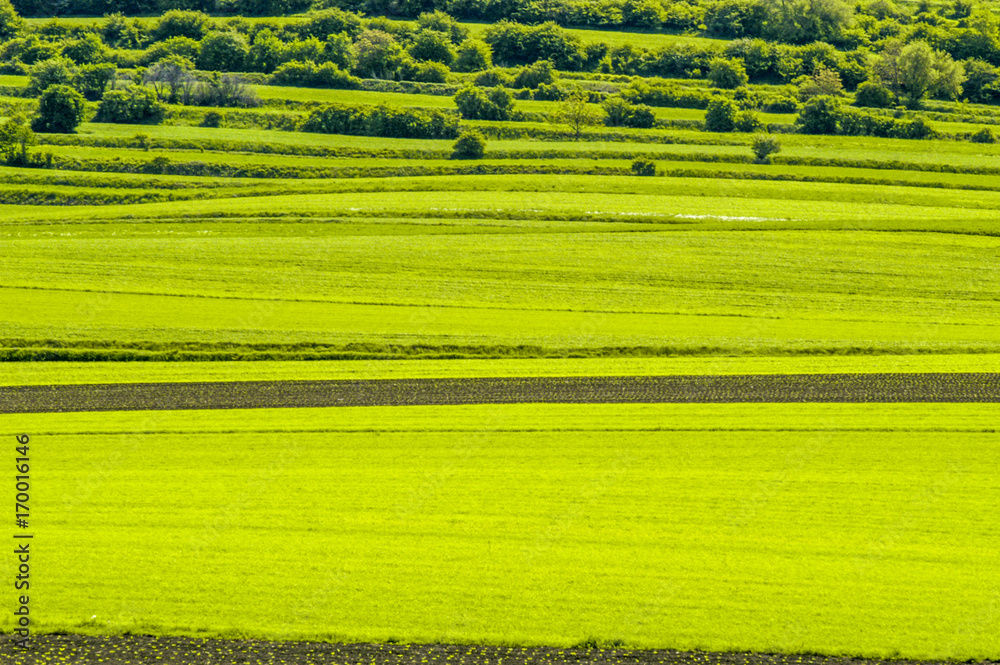 Φωτογραφία Hügellandschaft, Österreich, NIederösterreich, Weinviertel, M