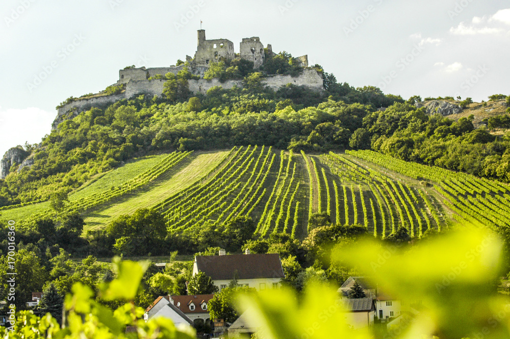 Φωτογραφία Weinregion Falkenstein im Weinviertel, Österreich, NIederöster