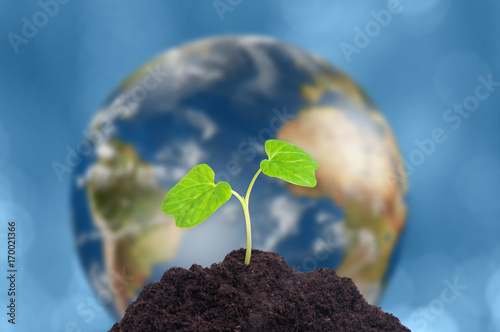 A sprout grows in soil. Our planet Earth is on background. Ecology concept. Elements of this image furnished by NASA.