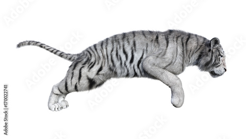 Fototapeta Naklejka Na Ścianę i Meble -  3D Rendering White Tiger on White